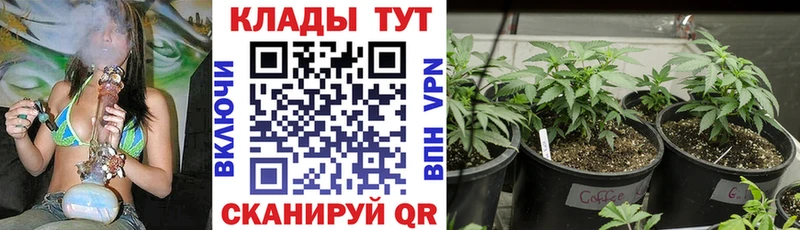 Где можно купить наркотики Десногорск КОКАИН МЕФ ГАШИШ Конопля
