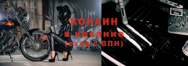 хмурый Верея