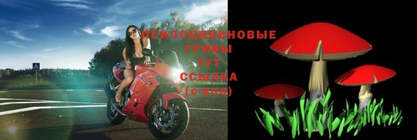 спайс Волоколамск