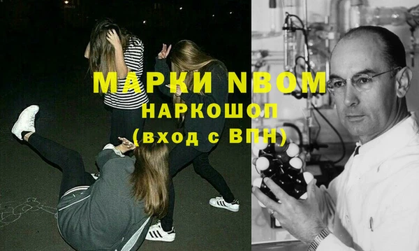 хмурый Верея