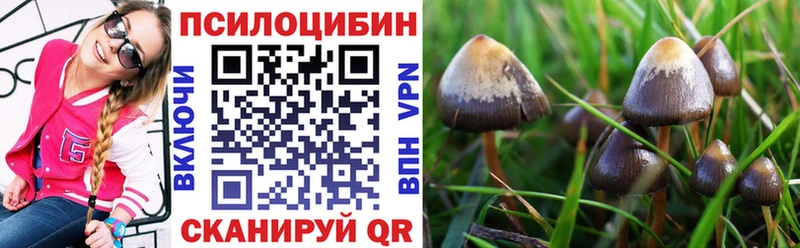 Галлюциногенные грибы Magic Shrooms  купить наркоту  Десногорск 
